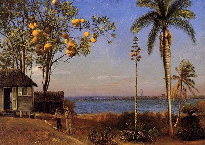 Una vista delle Bahamas da Albert Bierstadt